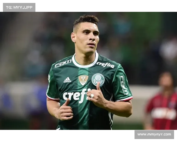 2019巴甲赛事—2019巴甲冠军