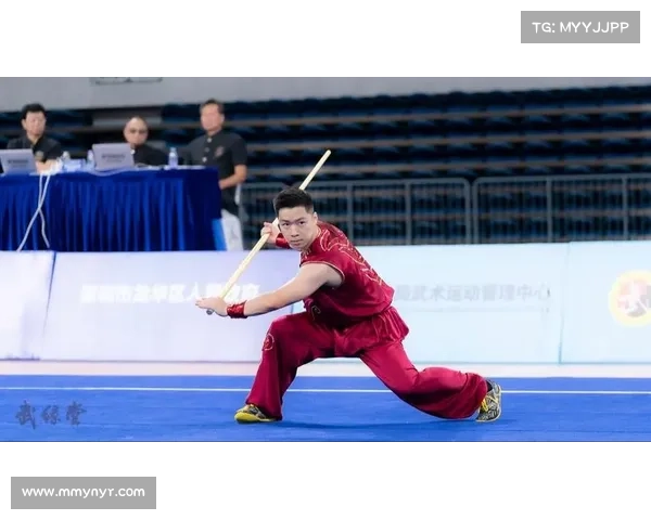 国内武术主要赛事有中国武术项目